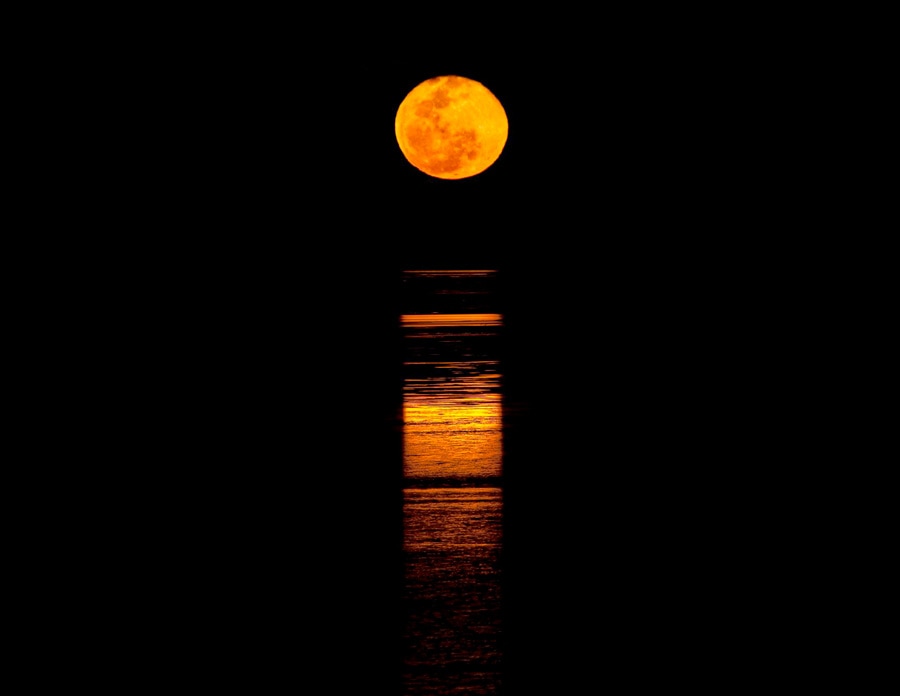 Staircase to the Moon at the Mangrove Hotel