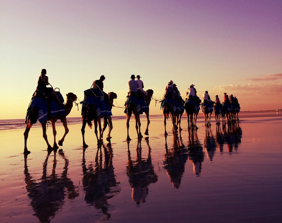 Broome Camel Safaris