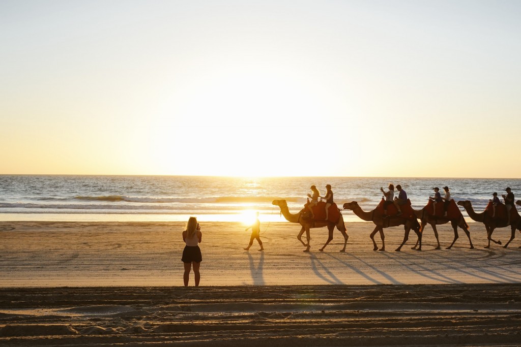 Camels in Broome on Cable Beach